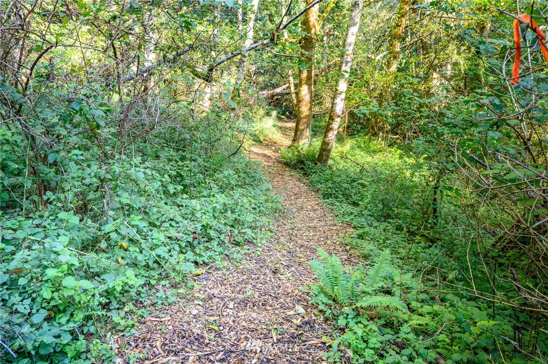 19223 Robinwood Road Southwest Vashon, WA 98070 - Photo 6 of 10 Gallery Image 6