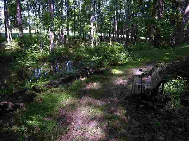 263 Horseshoe Road Central, SC 29630 - Photo 23 of 24 Gallery Image 23