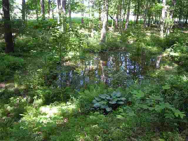 263 Horseshoe Road Central, SC 29630 - Photo 24 of 24 Gallery Image 24