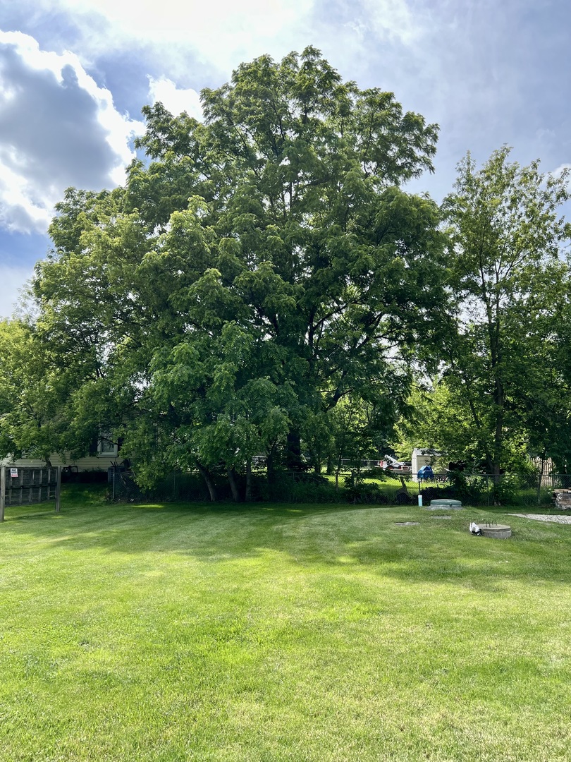 10N774 Maple Street Elgin, IL 60123 - Photo 4 of 19 Gallery Image 4