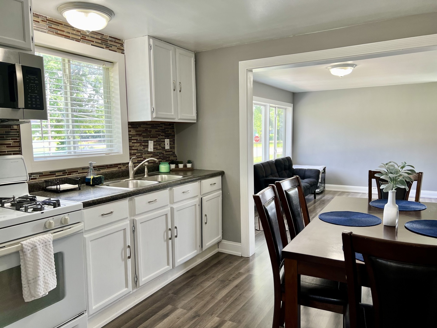 10N774 Maple Street Elgin, IL 60123 - Photo 8 of 19 Gallery Image 8