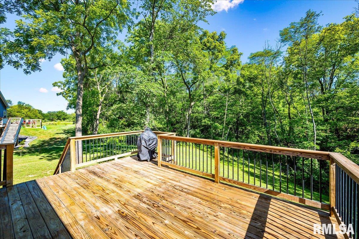 302 Saddlerock Drive Washington, IL 61571 - Photo 9 of 45