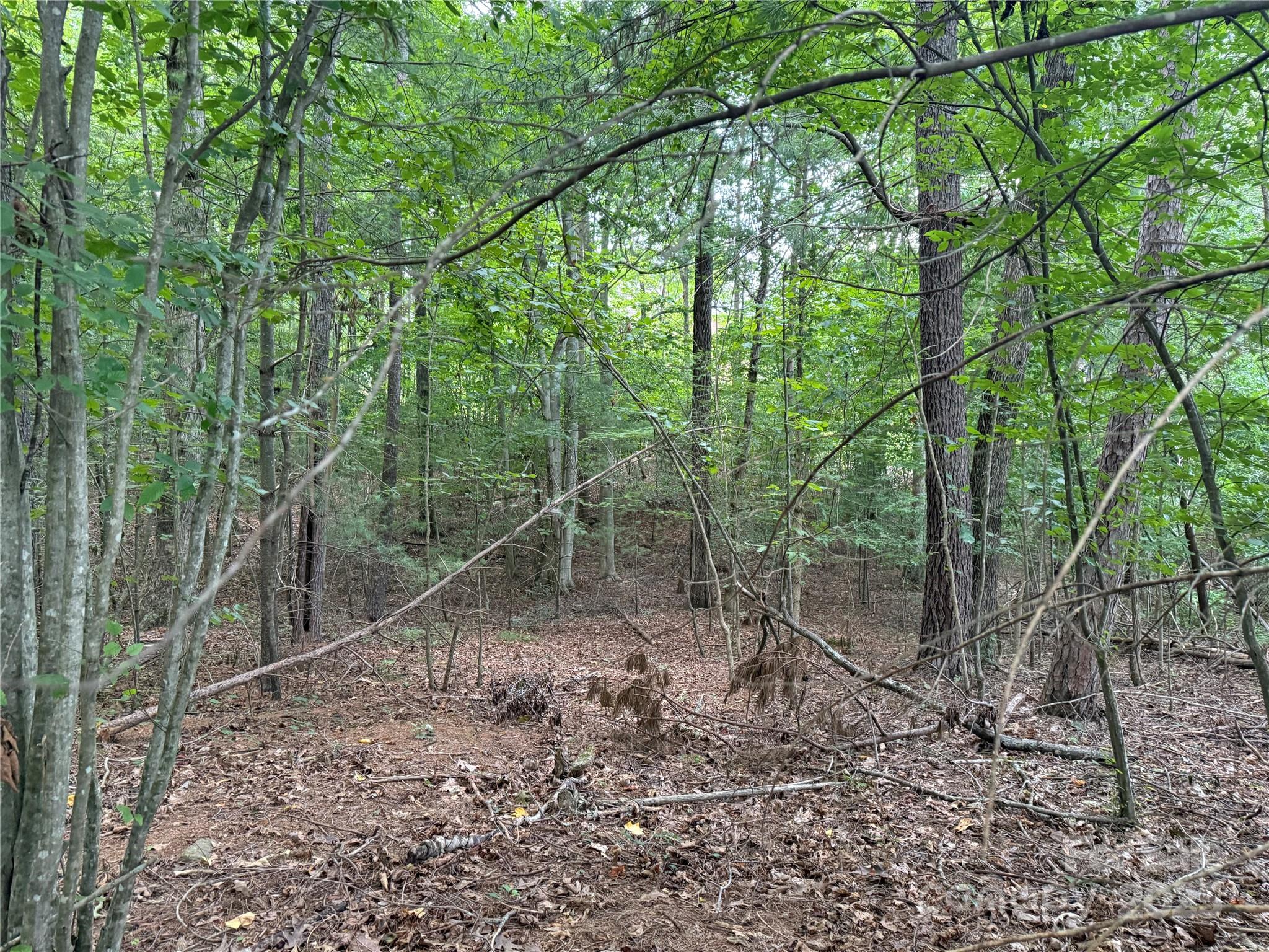 3994 Seitz Road Morganton, NC 28655 - Photo 9 of 9 a backyard of a house with lots of green space