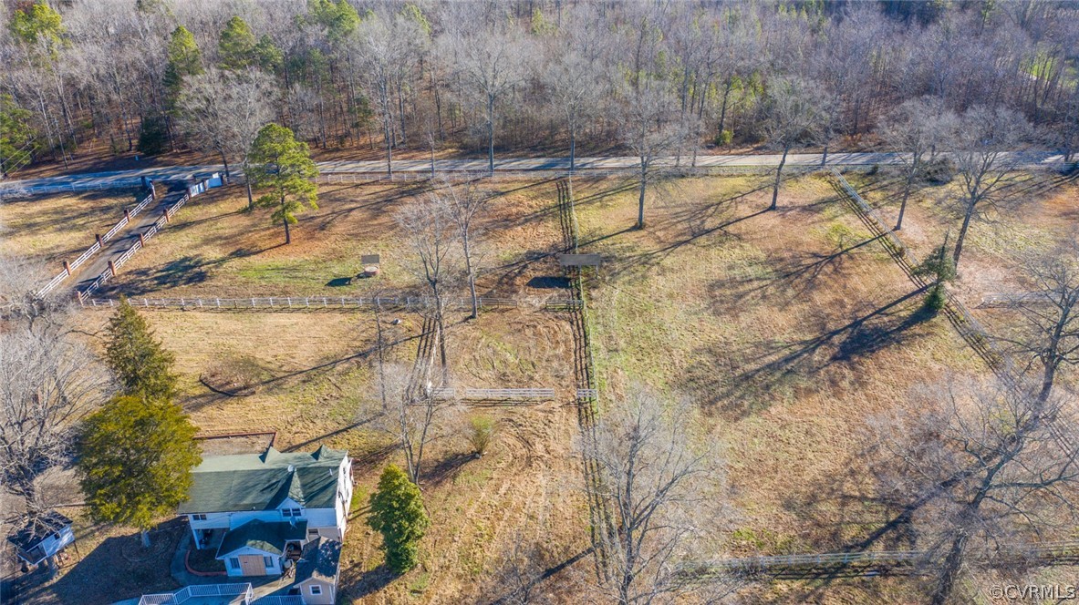 12300 Black Road Chesterfield, VA 23838 - Photo 14 of 50 a view of yard along with trees