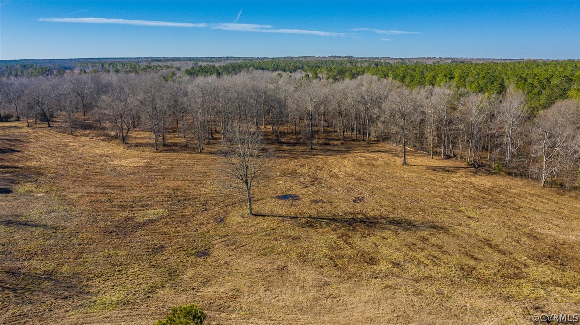 12300 Black Road Chesterfield, VA 23838 - Photo 15 of 50 a view of a yard