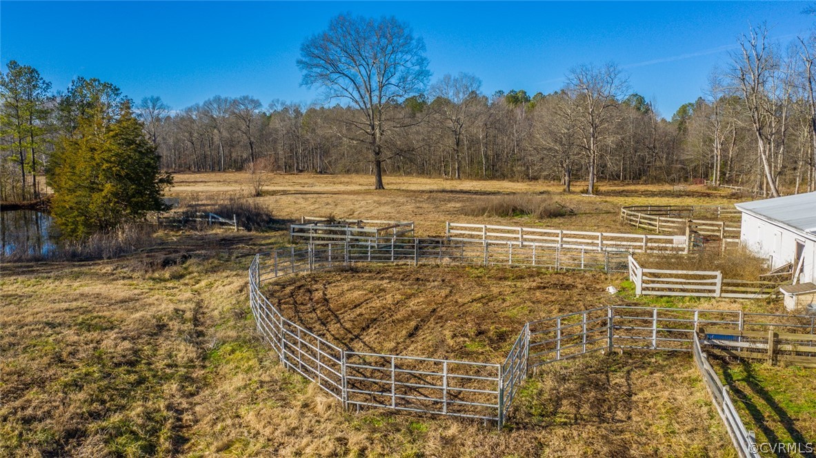 12300 Black Road Chesterfield, VA 23838 - Photo 25 of 50 a view of a yard with a tree