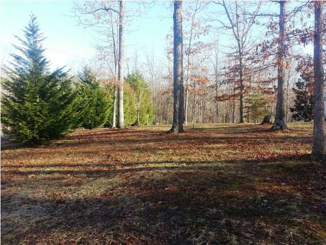 211 Laurel Ridge Dunlap, TN 37327 - Photo 14 of 32 Additional Photo
