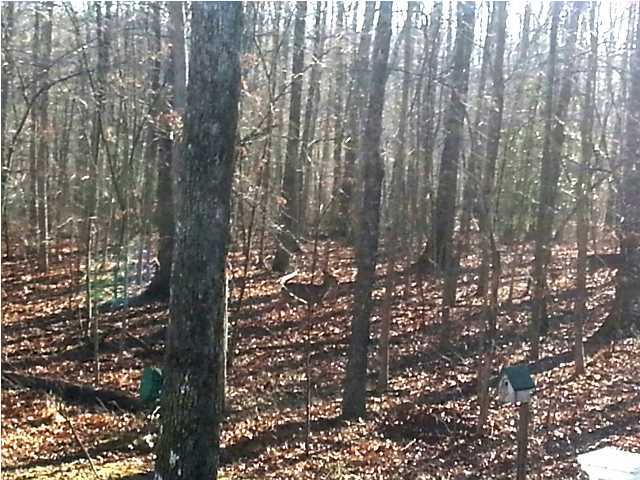 211 Laurel Ridge Dunlap, TN 37327 - Photo 27 of 32 Additional Photo