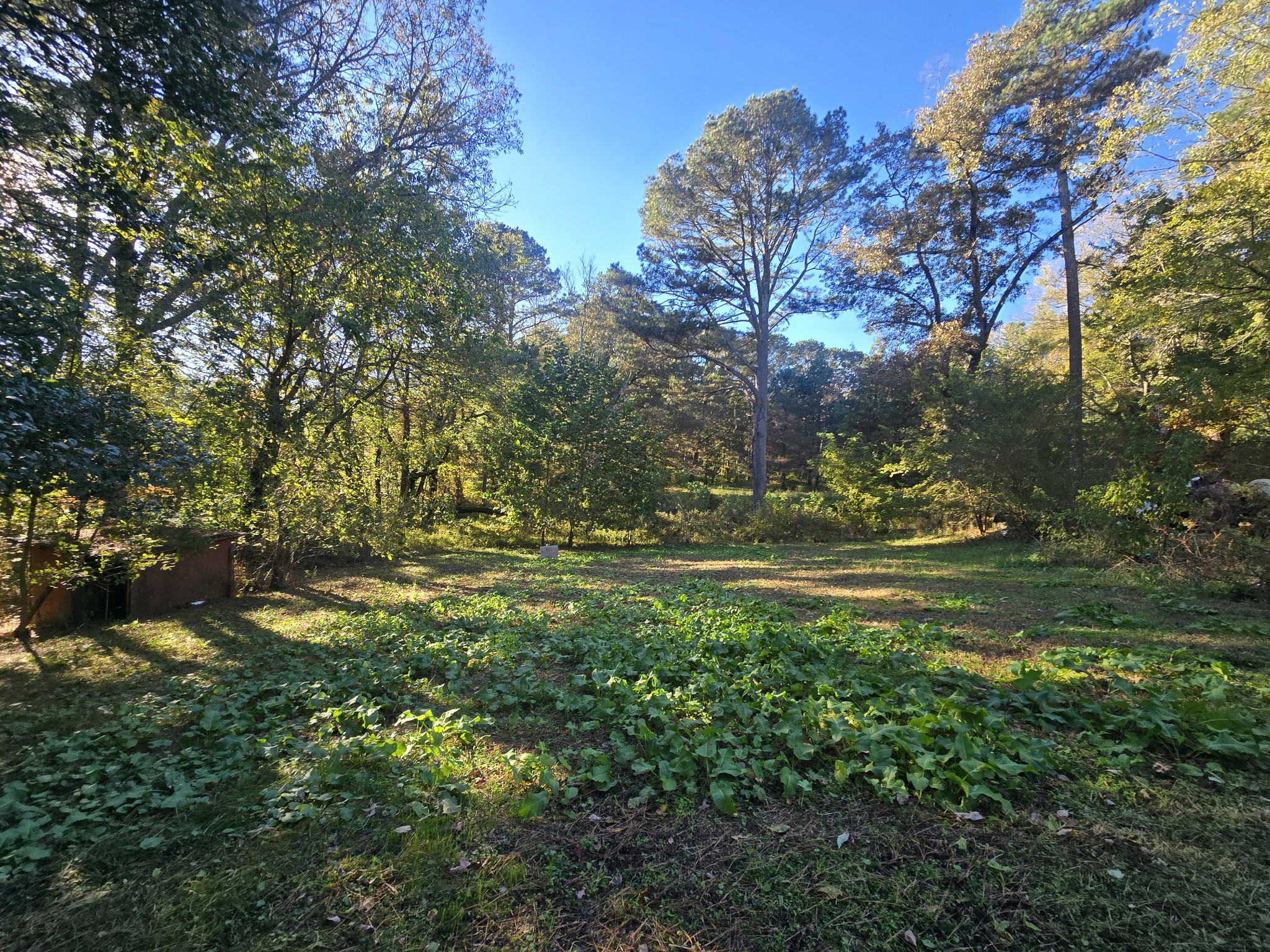 75 Travis Street Tracy City, TN 37387 - Photo 14 of 37