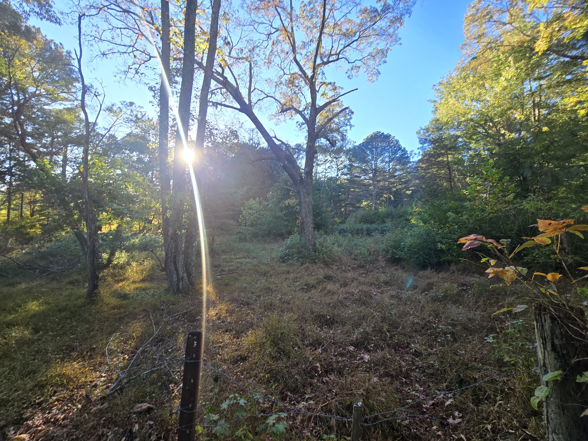 75 Travis Street Tracy City, TN 37387 - Photo 17 of 37