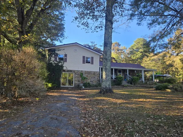 a hallway with painting on the wall and a potted plant