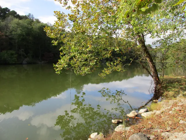 $337,000 | 75 Travis Street, Tracy City, TN 37387