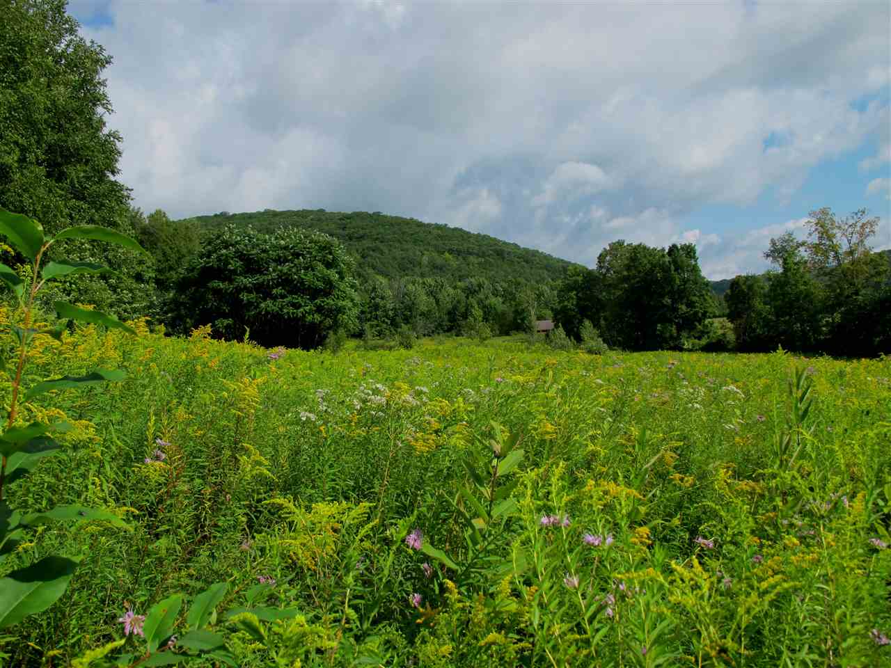 Xx By Rail Trail Corner Lewis And 153 Road Rupert, VT 05768 - Photo 1 of 12 Gallery Image 1