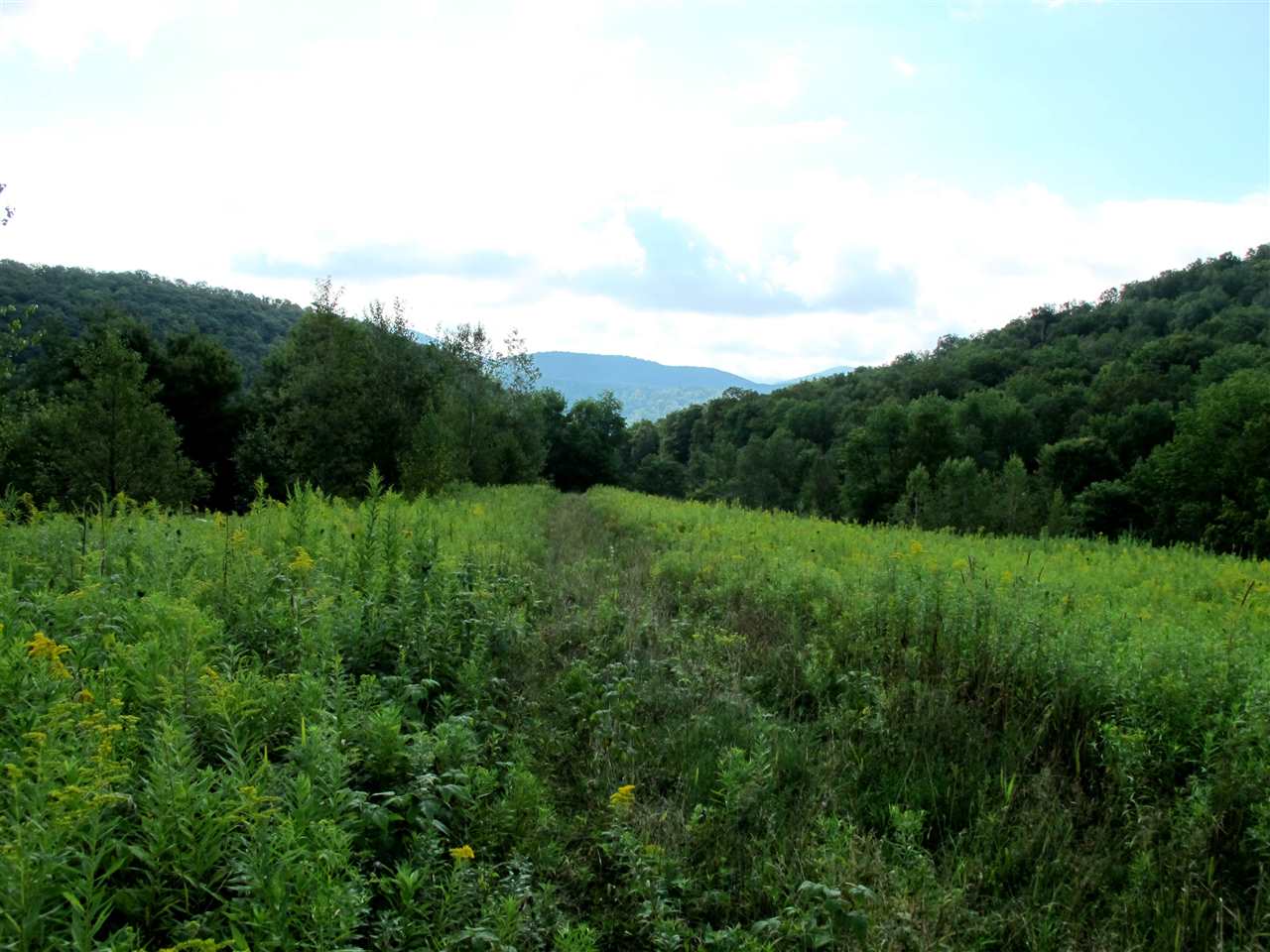 Xx By Rail Trail Corner Lewis And 153 Road Rupert, VT 05768 - Photo 10 of 12 Gallery Image 10
