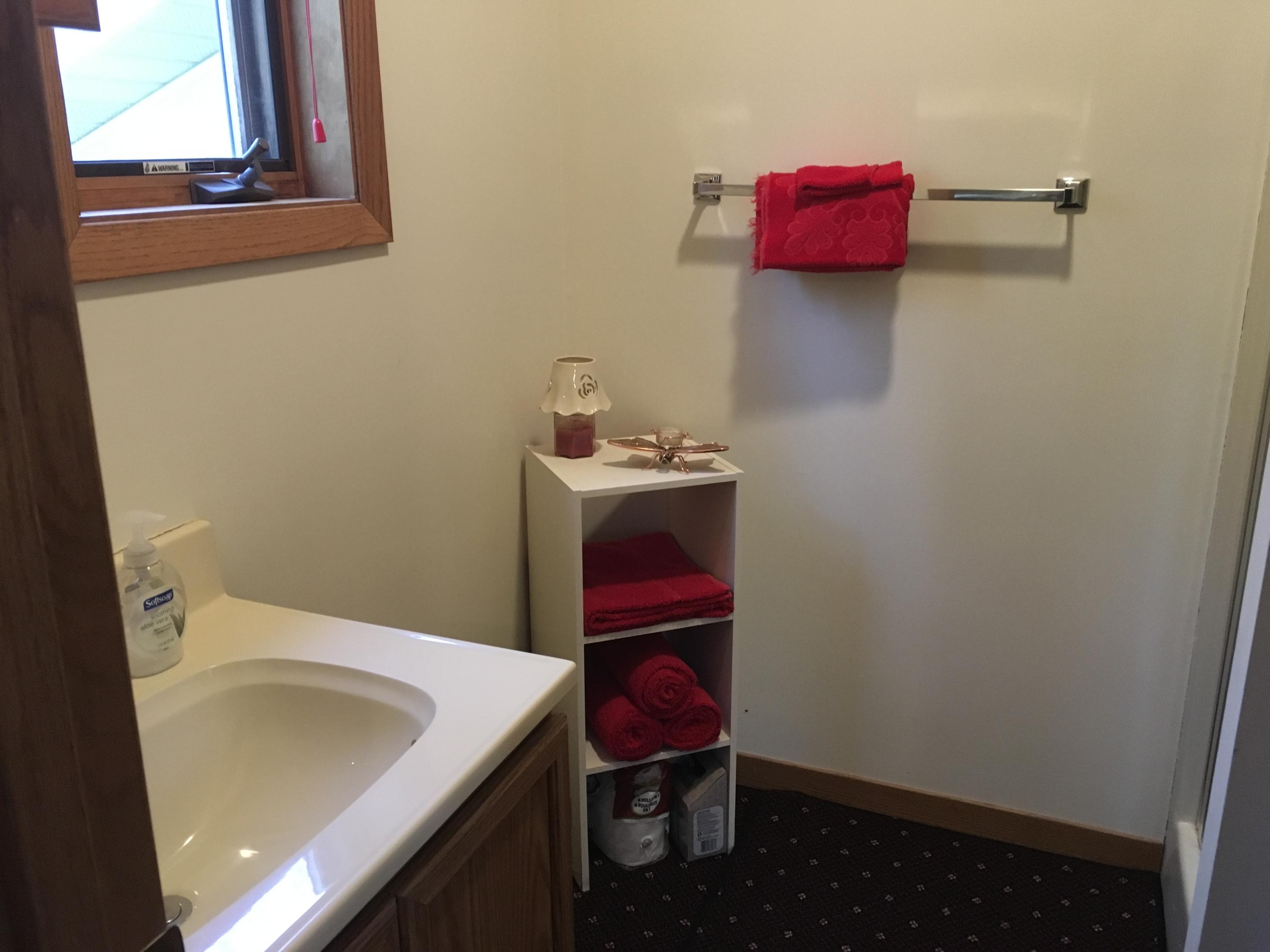 1603 Topinabee Mail Rte Road Cheboygan, MI 49721 - Photo 27 of 30 Gallery Image 27