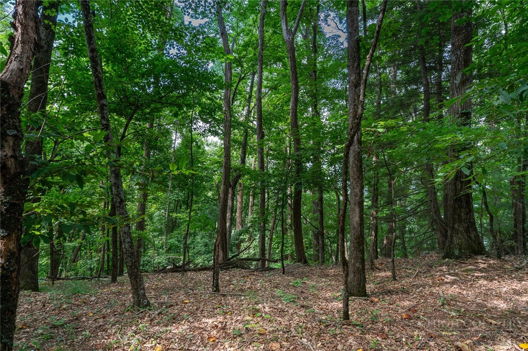 Lot 4 Old Orchard Road Lenoir, NC 28645 - Photo 10 of 23