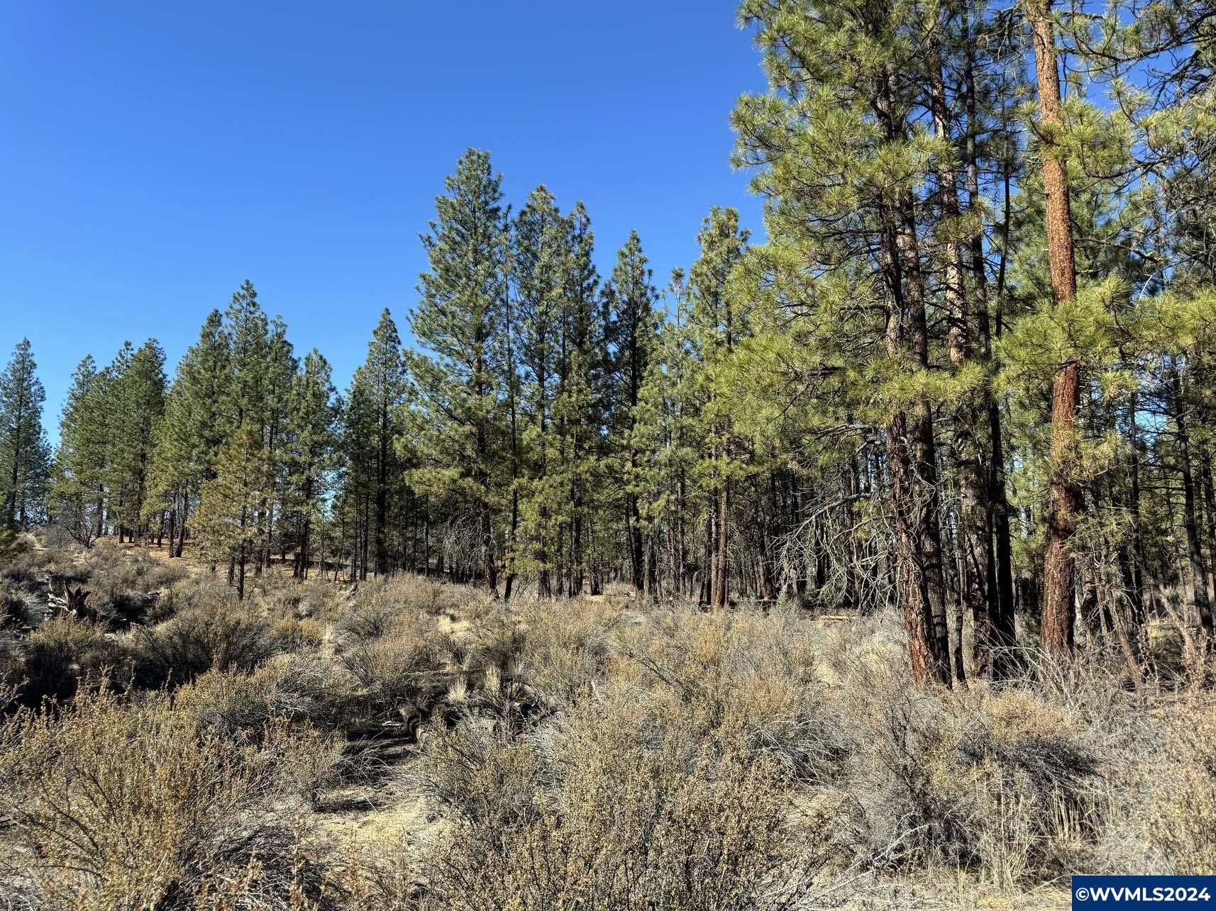 600 Oregon Pines Road Chiloquin, OR 97624 - Photo 44 of 49
