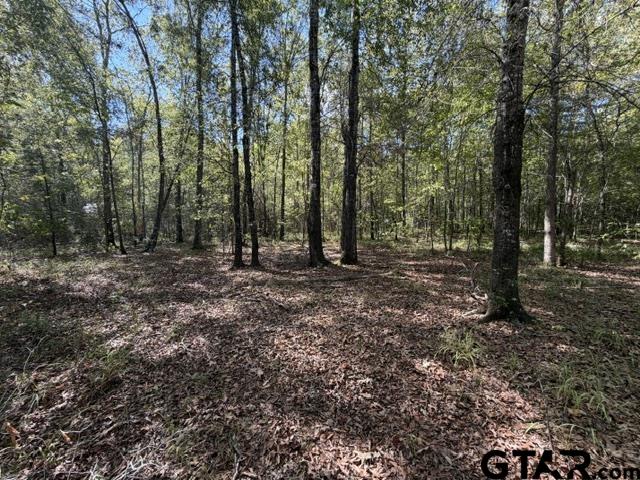 0 County Road 1206 Rusk, TX 75785 - Photo 22 of 27 Gallery Image 22