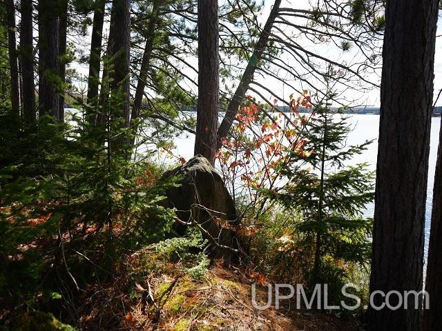 5800 Wolf Lake Road Watersmeet, MI 49969 - Photo 24 of 86