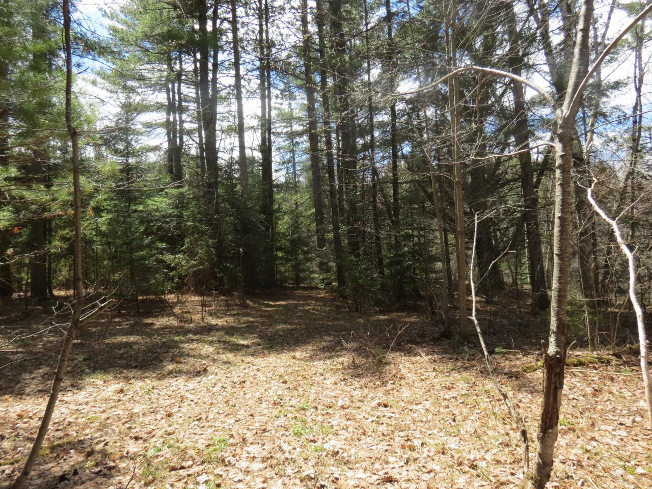 5070 Lassig Road Rhinelander, WI 54501 - Photo 17 of 20 Gallery Image 17
