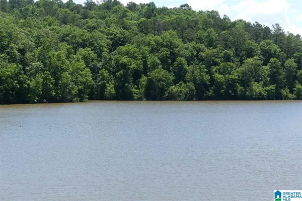 $64,000 | Lot 20 Foster Cove Drive, Unit 20, Lineville, AL 36266