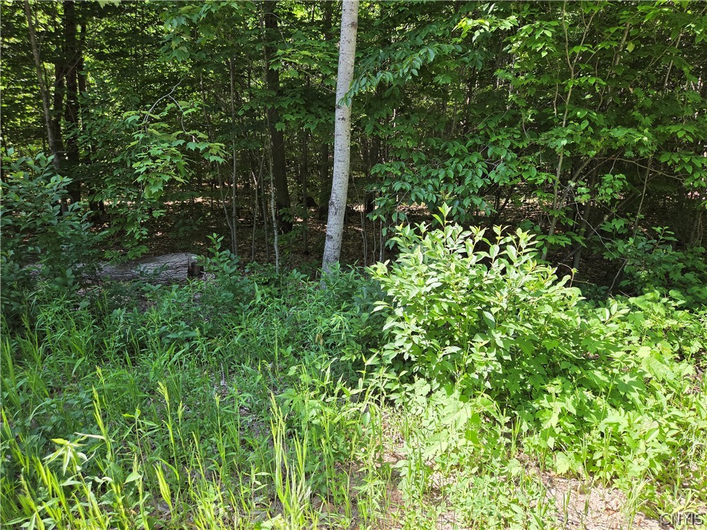 7399 Pennysettlement Road Lyonsdale, NY 13433 - Photo 4 of 7