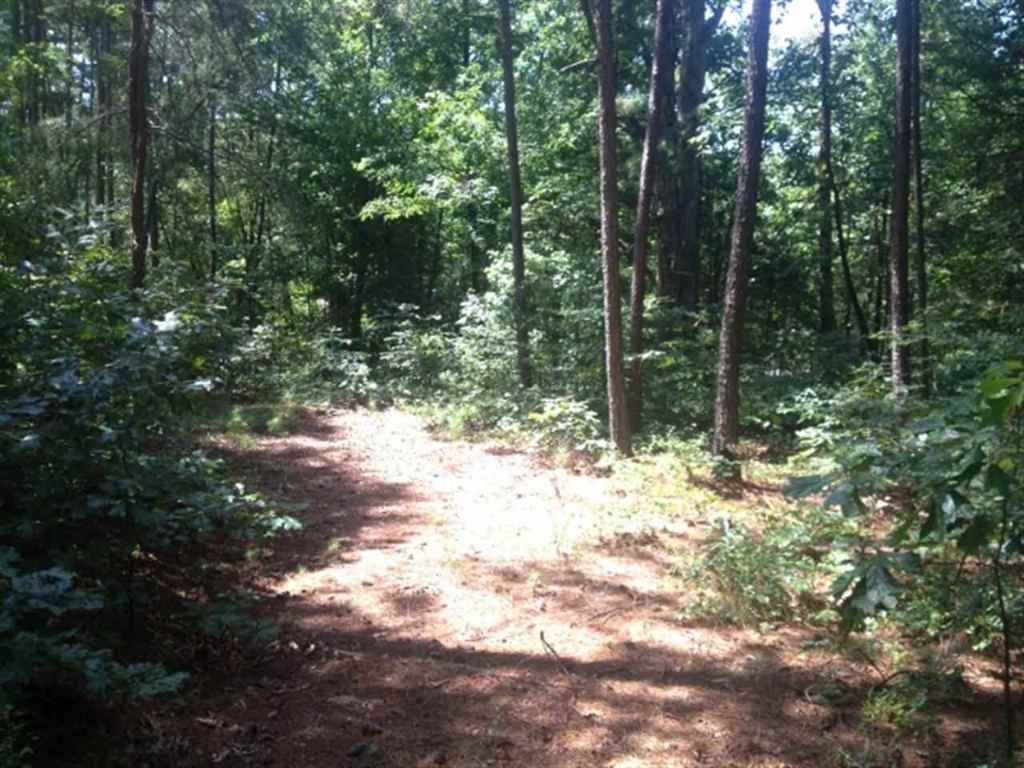 Lot 3 Laurel Ridge, Unit WILDFLOWER COURT Seneca, SC 29678 - Photo 11 of 25 Gallery Image 11