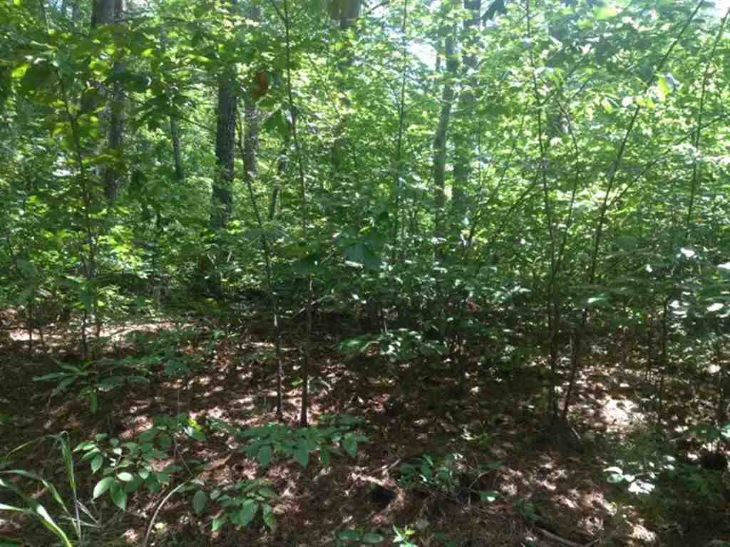 Lot 3 Laurel Ridge, Unit WILDFLOWER COURT Seneca, SC 29678 - Photo 12 of 25 Gallery Image 12