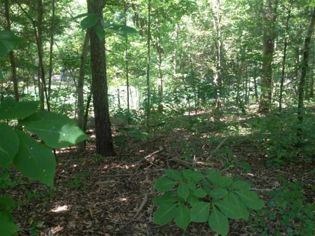Lot 3 Laurel Ridge, Unit WILDFLOWER COURT Seneca, SC 29678 - Photo 14 of 25 Gallery Image 14