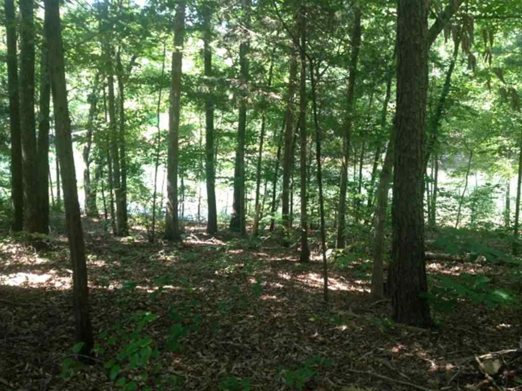 Lot 3 Laurel Ridge, Unit WILDFLOWER COURT Seneca, SC 29678 - Photo 15 of 25 Gallery Image 15
