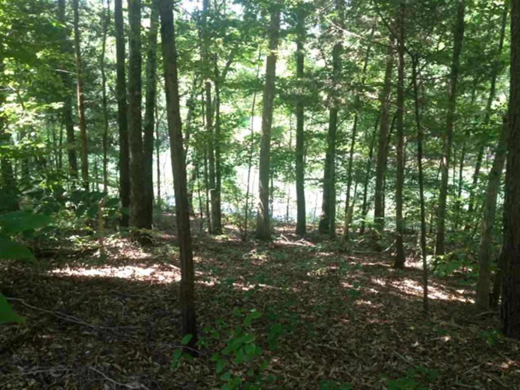 Lot 3 Laurel Ridge, Unit WILDFLOWER COURT Seneca, SC 29678 - Photo 16 of 25 Gallery Image 16