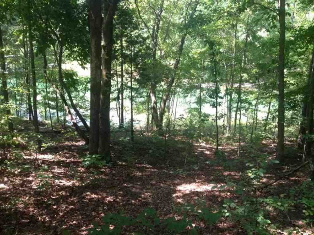 Lot 3 Laurel Ridge, Unit WILDFLOWER COURT Seneca, SC 29678 - Photo 17 of 25 Gallery Image 17