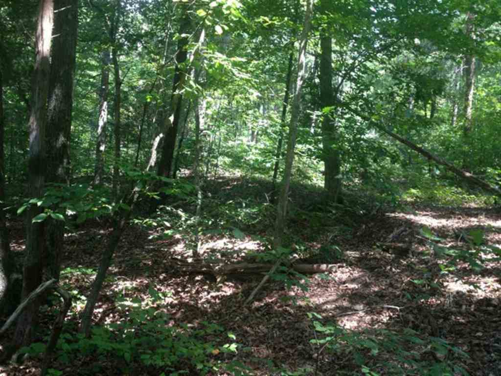 Lot 3 Laurel Ridge, Unit WILDFLOWER COURT Seneca, SC 29678 - Photo 18 of 25 Gallery Image 18