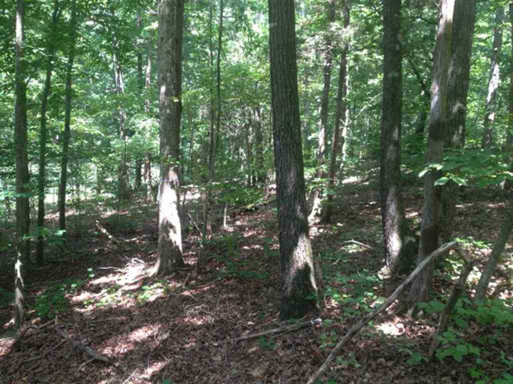 Lot 3 Laurel Ridge, Unit WILDFLOWER COURT Seneca, SC 29678 - Photo 19 of 25 Gallery Image 19