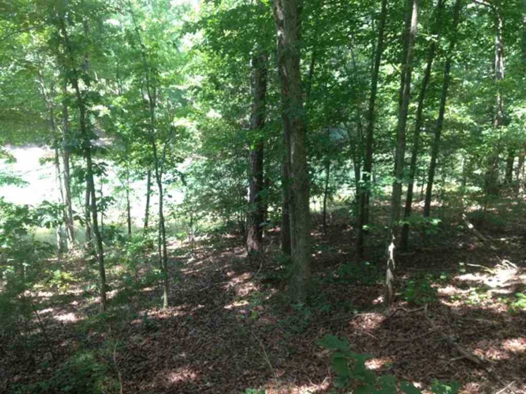 Lot 3 Laurel Ridge, Unit WILDFLOWER COURT Seneca, SC 29678 - Photo 20 of 25 Gallery Image 20