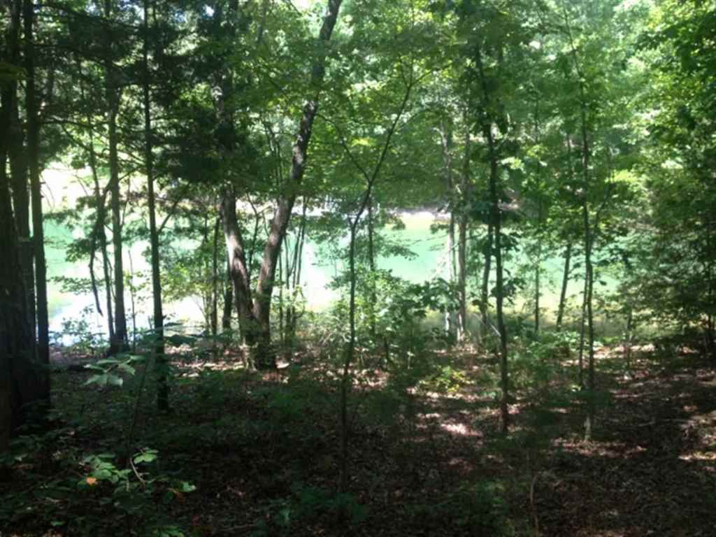 Lot 3 Laurel Ridge, Unit WILDFLOWER COURT Seneca, SC 29678 - Photo 21 of 25 Gallery Image 21