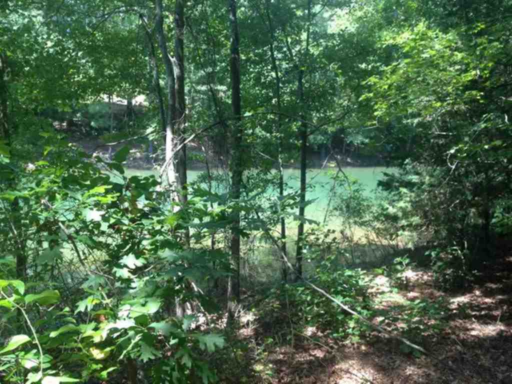 Lot 3 Laurel Ridge, Unit WILDFLOWER COURT Seneca, SC 29678 - Photo 23 of 25 Gallery Image 23