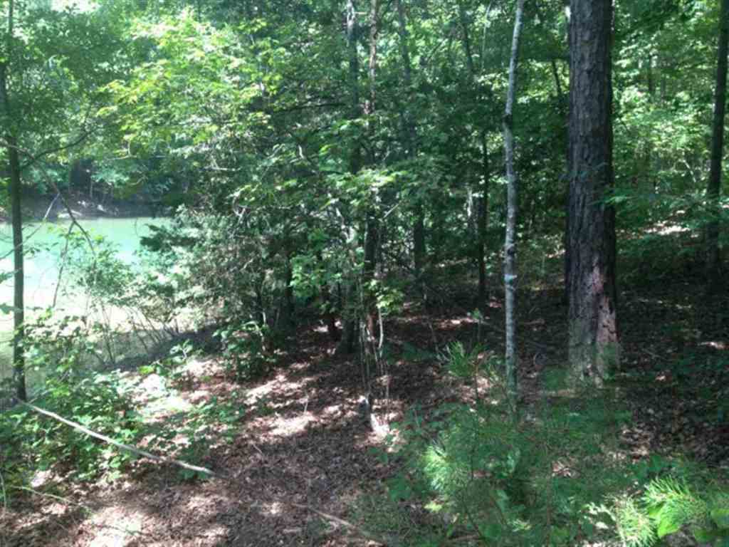 Lot 3 Laurel Ridge, Unit WILDFLOWER COURT Seneca, SC 29678 - Photo 24 of 25 Gallery Image 24