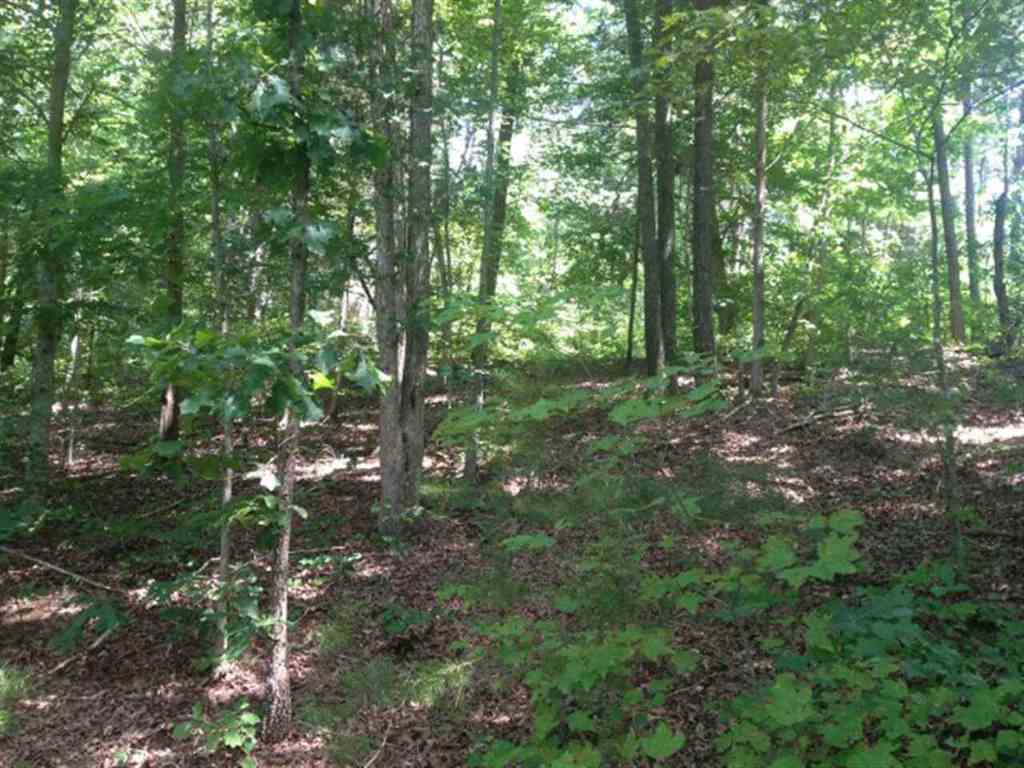 Lot 3 Laurel Ridge, Unit WILDFLOWER COURT Seneca, SC 29678 - Photo 25 of 25 Gallery Image 25