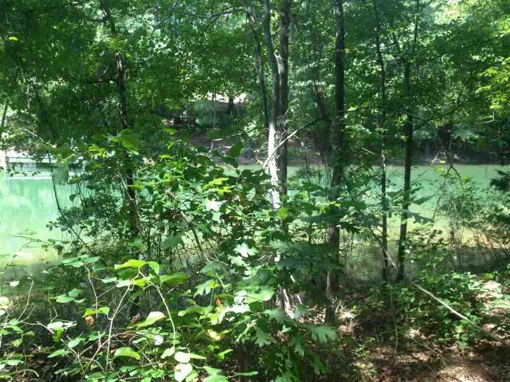 Lot 3 Laurel Ridge, Unit WILDFLOWER COURT Seneca, SC 29678 - Photo 4 of 25 Gallery Image 4