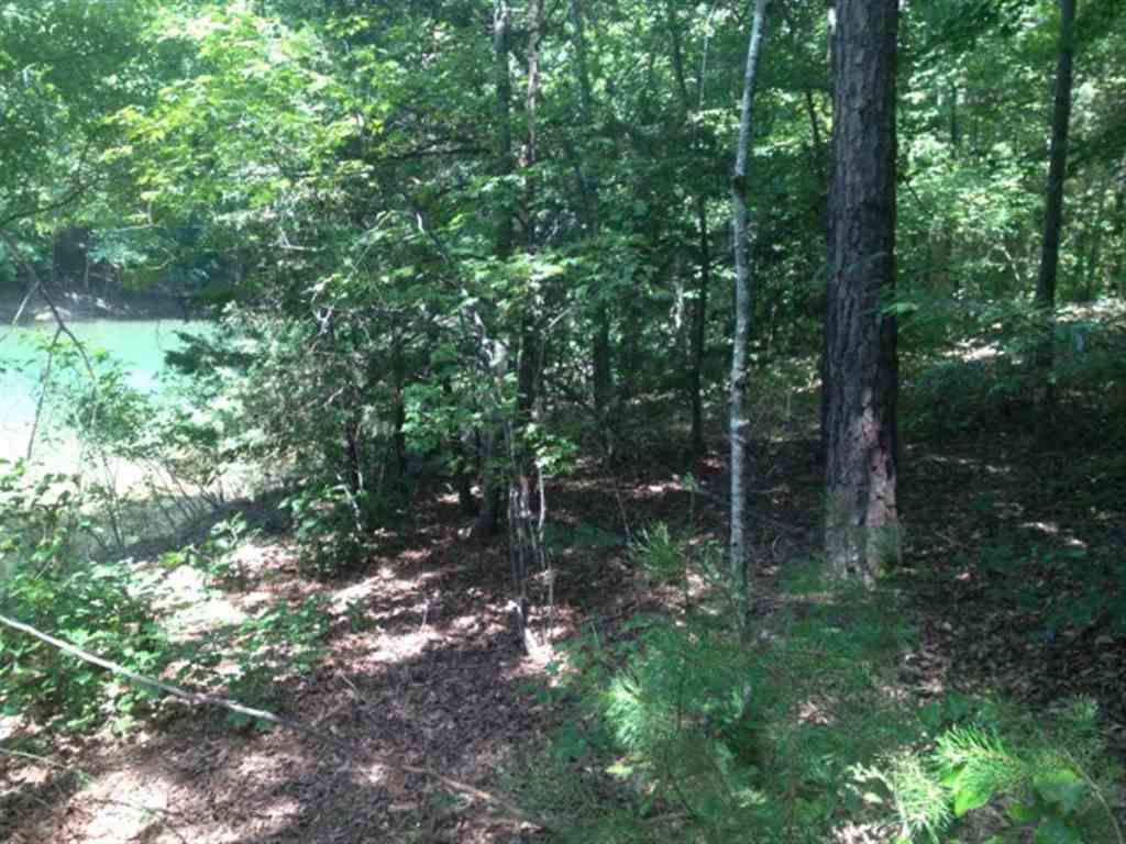 Lot 3 Laurel Ridge, Unit WILDFLOWER COURT Seneca, SC 29678 - Photo 5 of 25 Gallery Image 5
