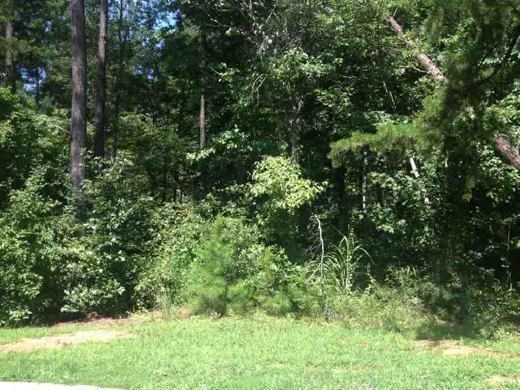 Lot 3 Laurel Ridge, Unit WILDFLOWER COURT Seneca, SC 29678 - Photo 6 of 25 Gallery Image 6