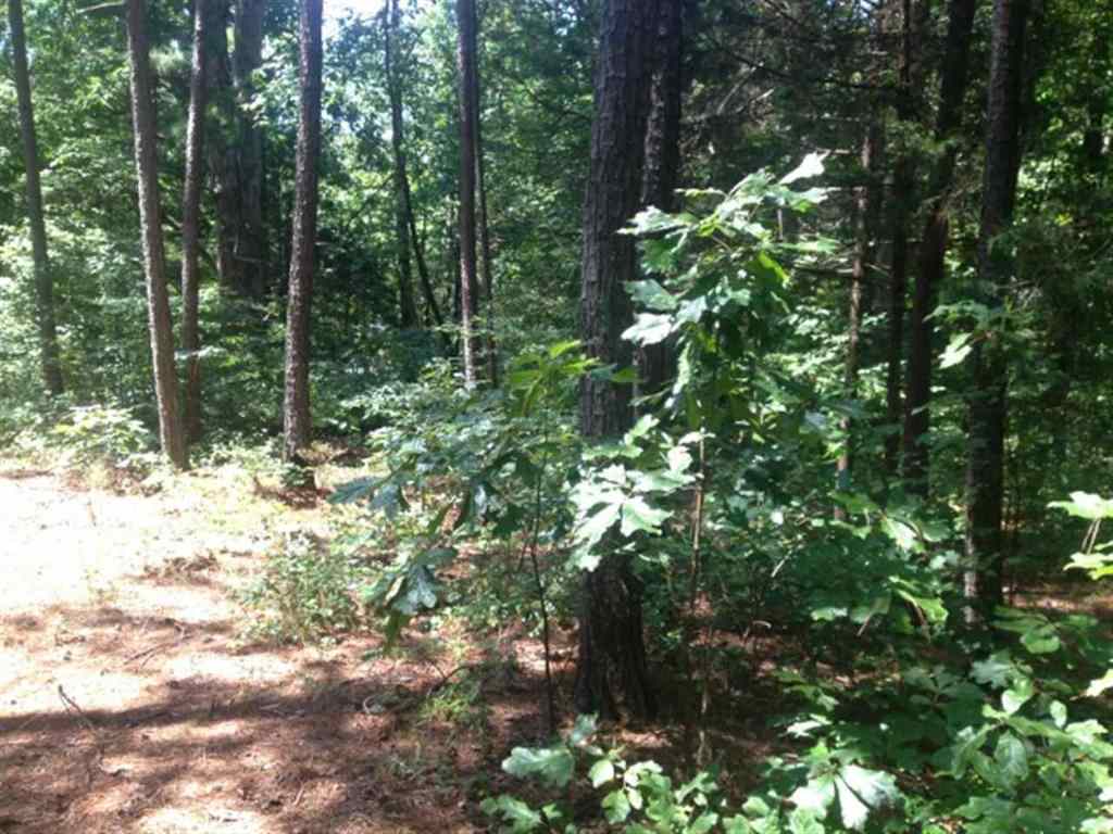 Lot 3 Laurel Ridge, Unit WILDFLOWER COURT Seneca, SC 29678 - Photo 7 of 25 Gallery Image 7