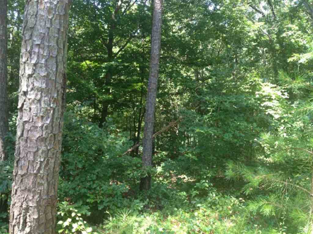 Lot 3 Laurel Ridge, Unit WILDFLOWER COURT Seneca, SC 29678 - Photo 10 of 25 Gallery Image 10