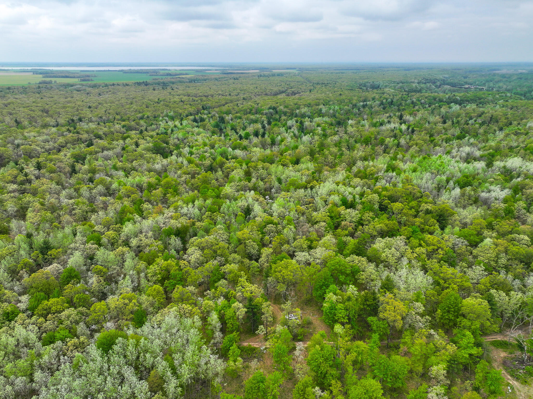 12.19 Rapp Drive Twin Lake, MI 49457 - Photo 9 of 48 DJI_20260512131751_0522_D
