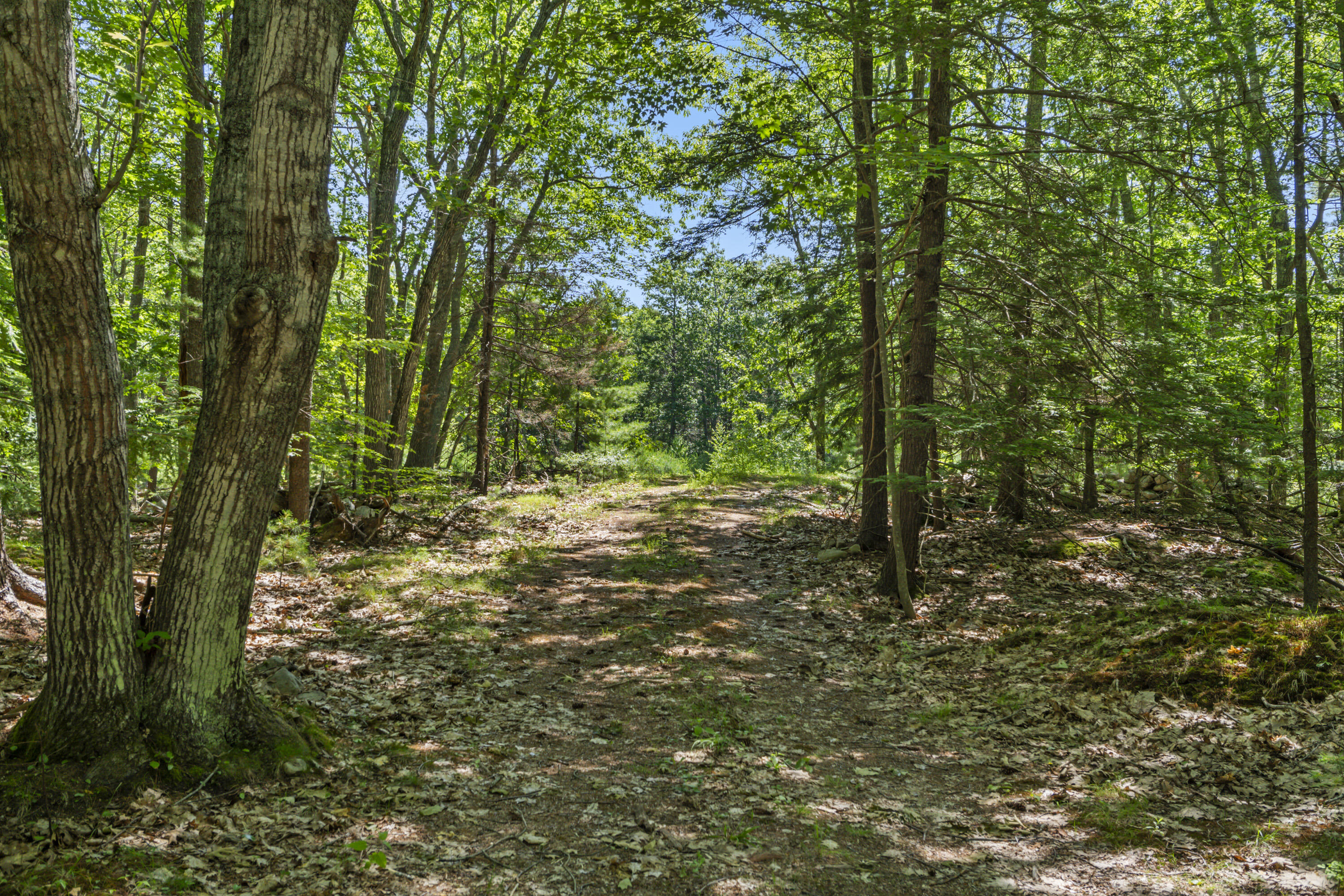 119 Pine Hill Road Cape Neddick, ME 03902 - Photo 3 of 19 119 Pine Hill Rd, Cape Neddick