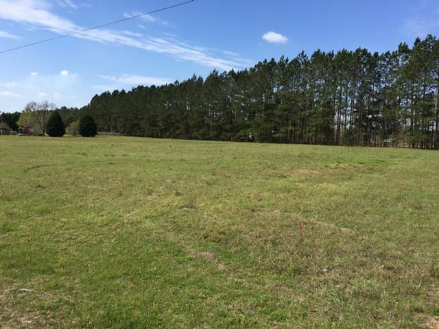 Five Five Forks Road Baconton, GA 31716 - Photo 1 of 1 Main View