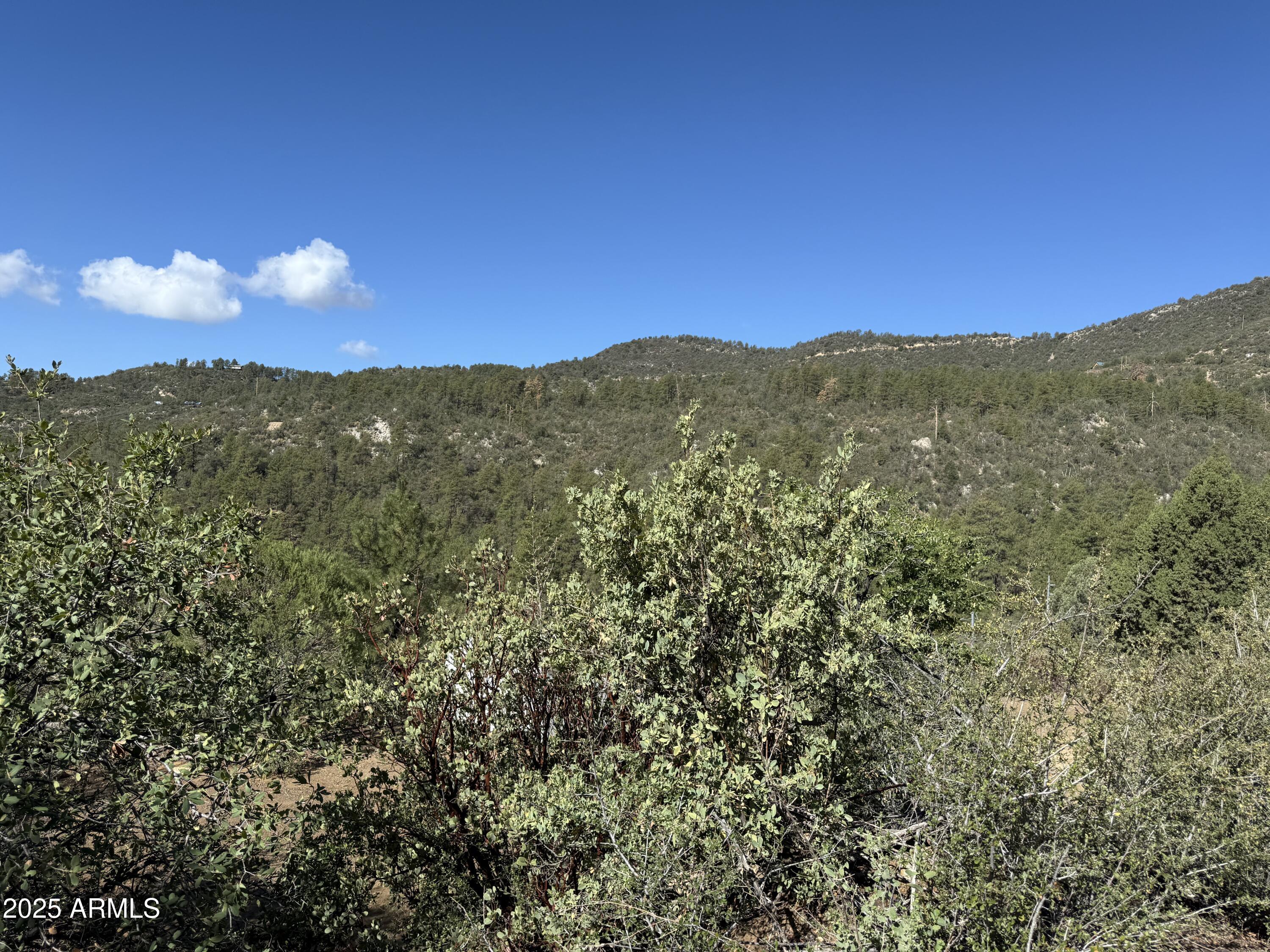 a view of a town with mountains in the background