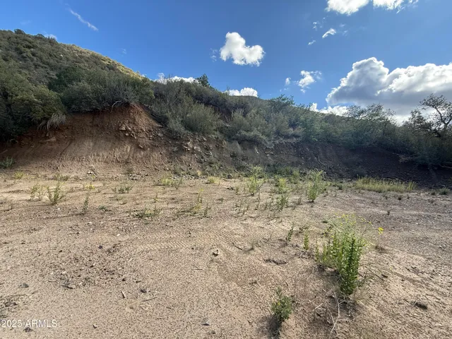 a view of a dry yard with trees
