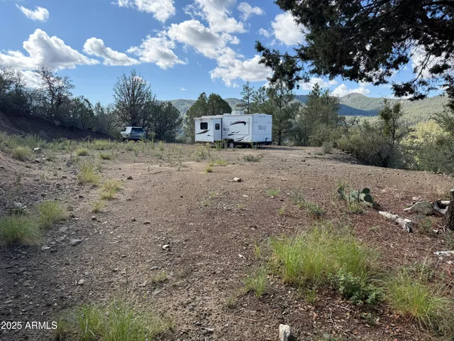 a view of a back yard of the house